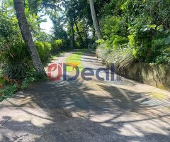 Live in Luxury Near Amaya Hills Kandy – 5BR / 44 perch House for sale