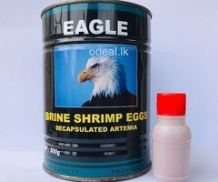 Fish food