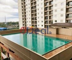 Furnished 3 BED apartment for Rent in Borella