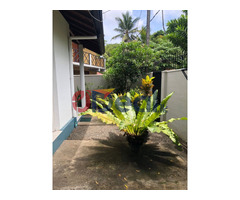 House for sale near university of Jayawaradanapura - Image 4/4