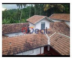 වලව්වක්  හොයන අයට මෙනන්