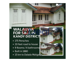 වලව්වක්  හොයන අයට මෙනන් - Image 4/4