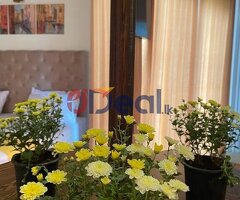 Villa for sale in Nuwaraeliya