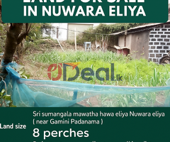 Land for sale in Nuwaraeliya - Image 4/4