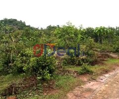 Commercial Land for sale in Horana