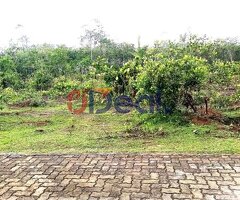 Commercial Land for sale in Horana