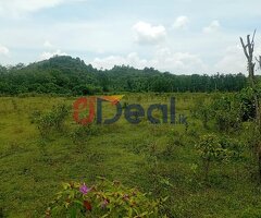 Commercial Land for sale in Horana - Image 4/4