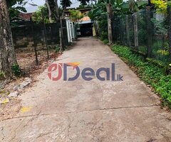 Land for sale in Rattanapitiya