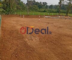 Paddy view land for sale in Homagama