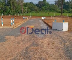 Paddy view land for sale in Homagama - Image 4/4
