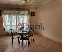 16.25 Perch for sale in Pita kotte