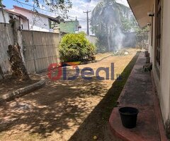 16.25 Perch for sale in Pita kotte