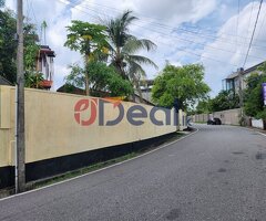 16.25 Perch for sale in Pita kotte - Image 4/4