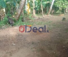 48 Perch property for sale in Meegoda